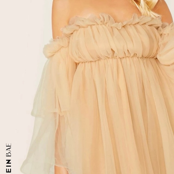 Off Shoulder Ruffle Mesh Dress - Picture 2 of 10